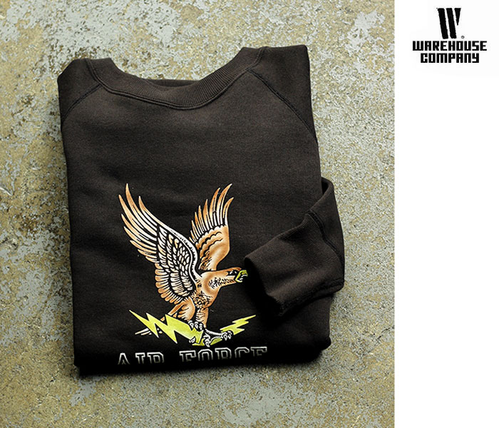 WAREHOUSE ウエアハウス AIR FORCE カラースプレー スウェット